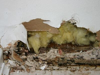 About water damage restoration service - burst pipe water damage experts in Universal